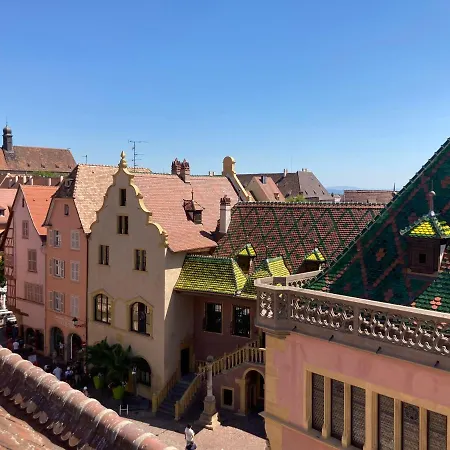 Le Loft Apartman Colmar