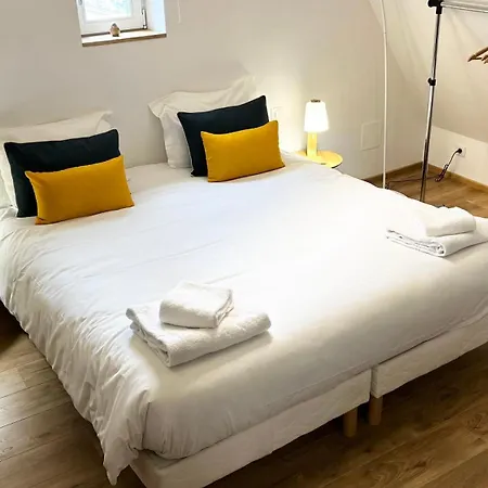 דירה Le Loft קולמר